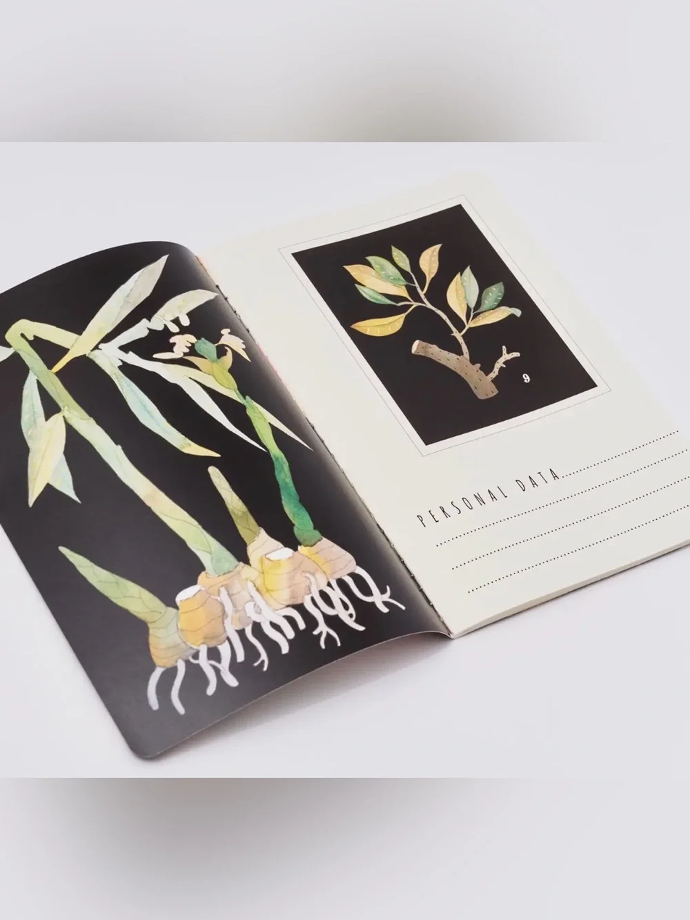 BV By Bruno Visconti Soft Touch Botany Journal A5